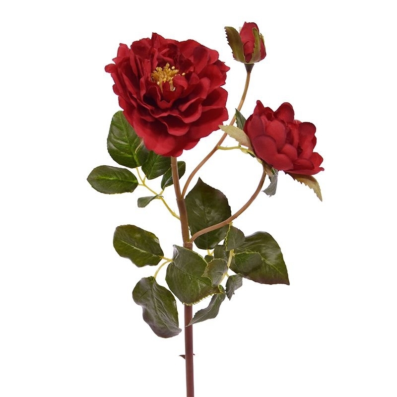 Rosa d'arte Raggio di rami 50 cm rosso
