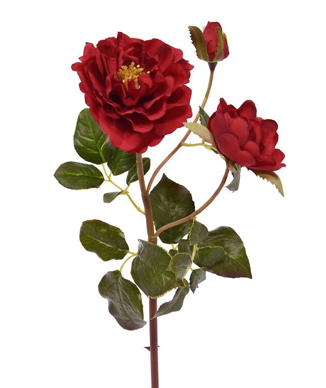 Rosa d'arte Raggio di rami 50 cm rosso