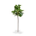 Ramo di foglie artificiali di Peperomia Obtusifolia 50 cm