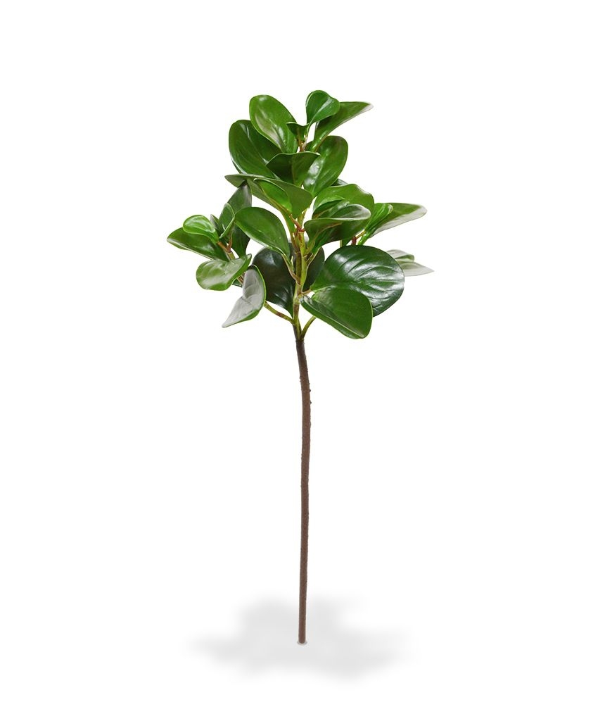Ramo di foglie artificiali di Peperomia Obtusifolia 50 cm