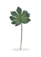 Fatsia artificiale XL lasciare 81 cm