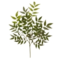 Ramo artificiale di ruscus Deluxe