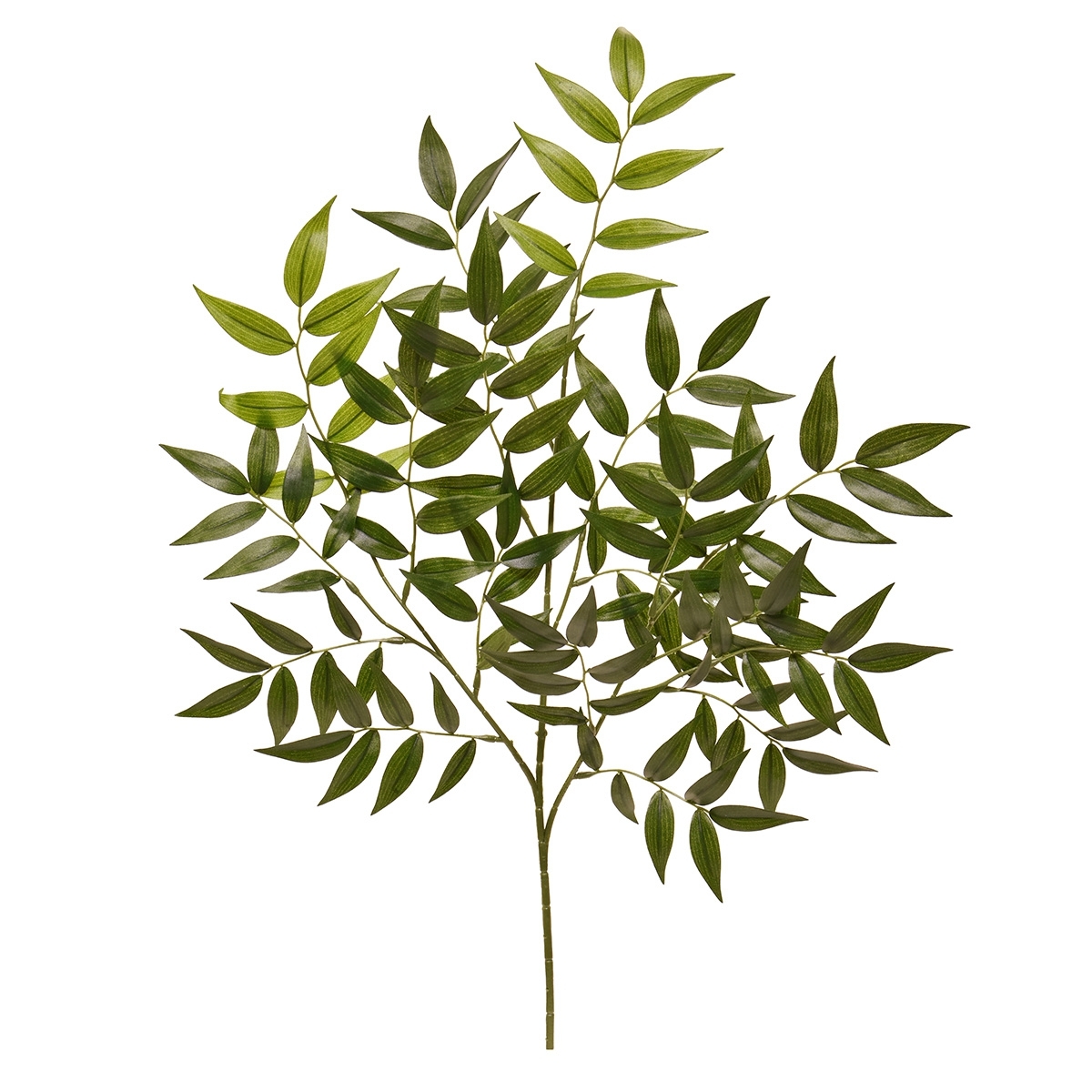 Ramo artificiale di ruscus Deluxe