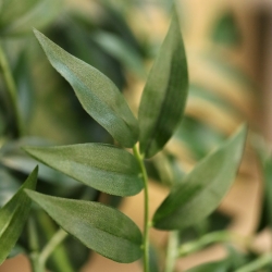 Ramo artificiale di ruscus Deluxe