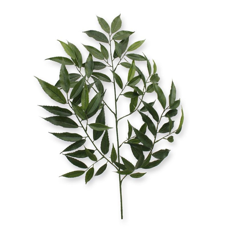 Shirakashi Tak x83 FR