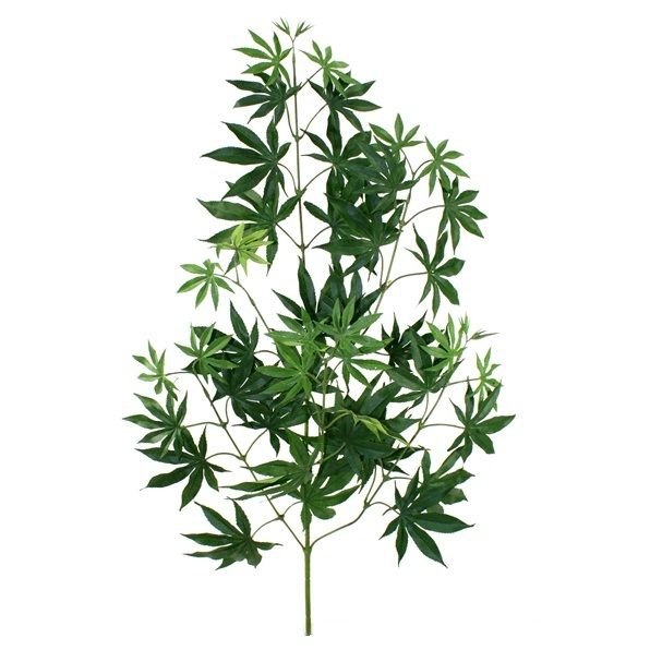 Ramo di acero x44 FR 70cm