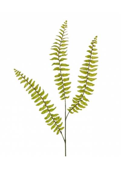 Ramo artificiale di felce di Boston 85 cm