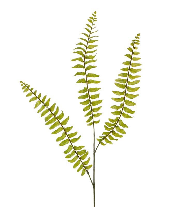Ramo artificiale di felce di Boston 85 cm