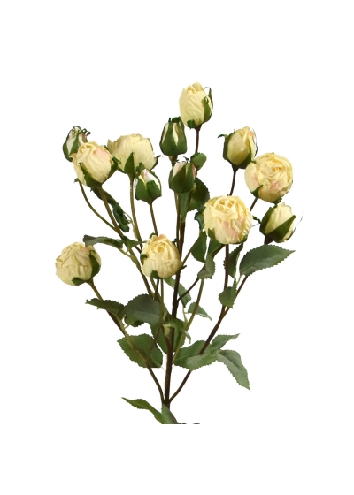 Ramo di rosa tropicale artificiale 70 cm crema