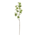 Ramo di Enkianthus 85 cm - verde