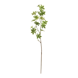 Ramo di Enkianthus 85 cm - verde