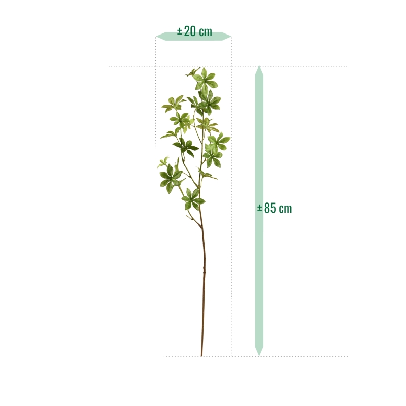 Ramo di Enkianthus 85 cm - verde