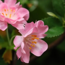 Fiore di prugna Ramo artificiale 48 cm Rosa