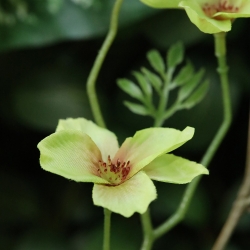 Ramo di fiori artificiale Nigra verde 90 cm
