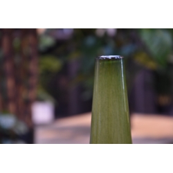 Zzing vaas Long 25 cm - mosgroen