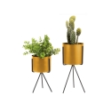 Plantenpot Set Pedestal – okergeel