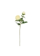 Rosa Inglese Artificiale 69cm Crema-Verde