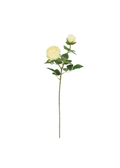 Rosa Inglese Artificiale 69cm Crema-Verde