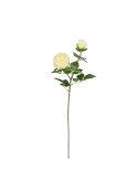 Rosa Inglese Artificiale 69cm Crema-Verde