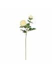 Rosa Inglese Artificiale 69cm Crema-Verde