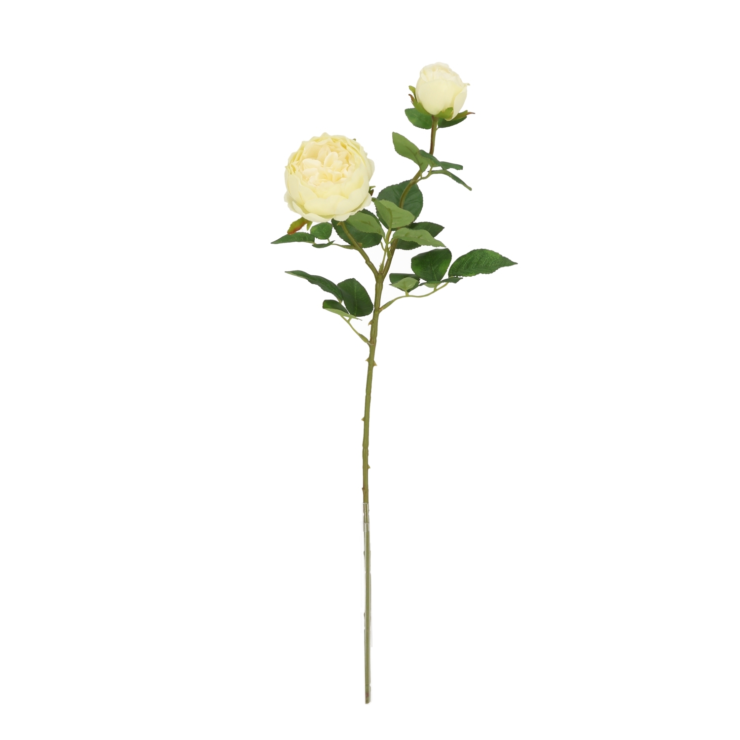 Rosa Inglese Artificiale 69cm Crema-Verde