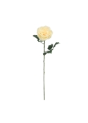 Rosa Inglese Artificiale 56cm Crema