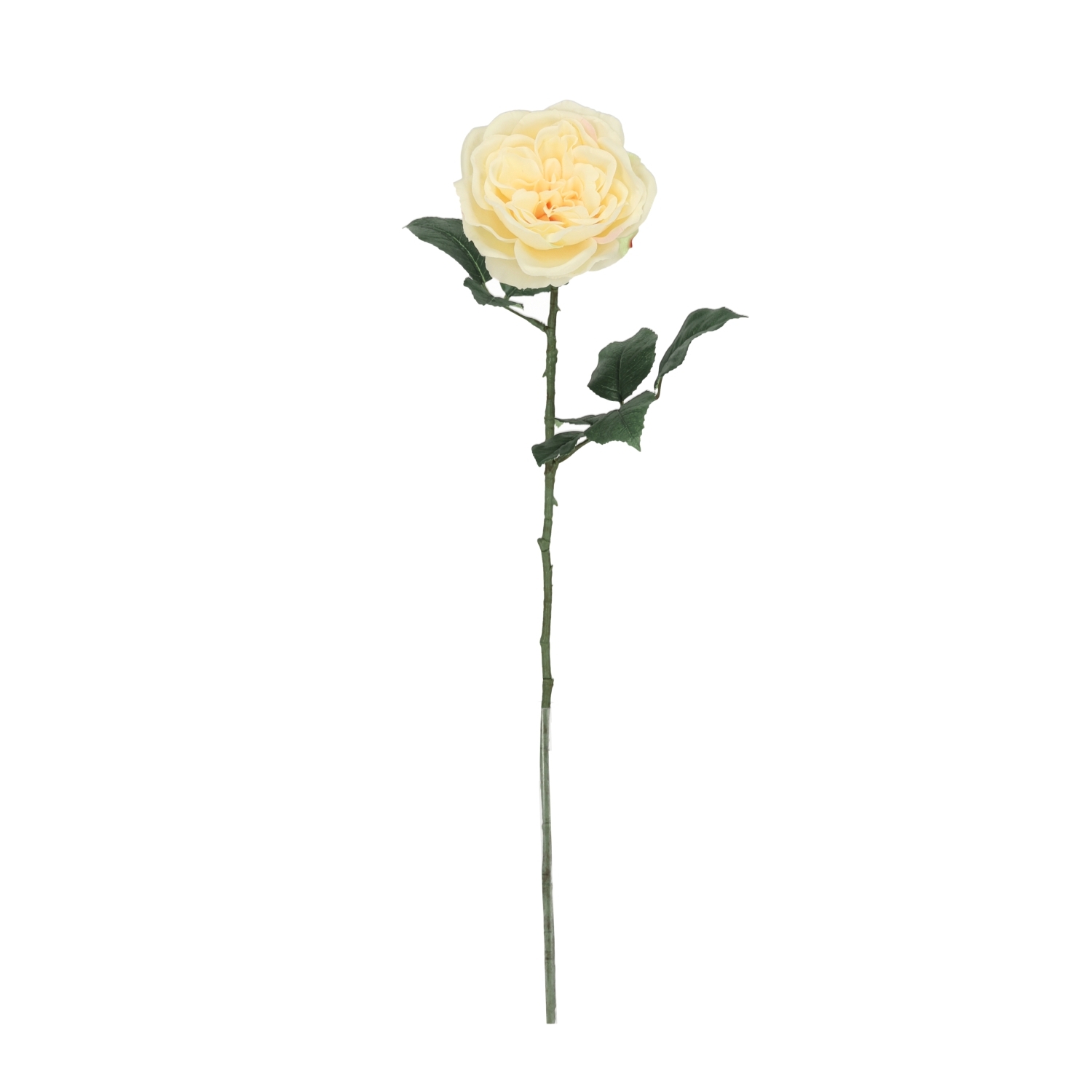 Rosa Inglese Artificiale 56cm Crema