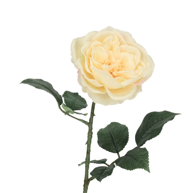 Rosa Inglese Artificiale 56cm Crema