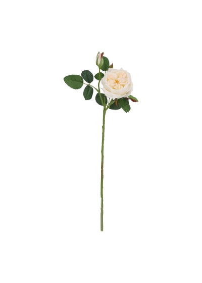 Ramo di rosa artificiale Austin crema 52 cm