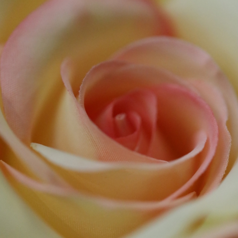 Ramo di rosa artificiale Elegance giallo 63 cm