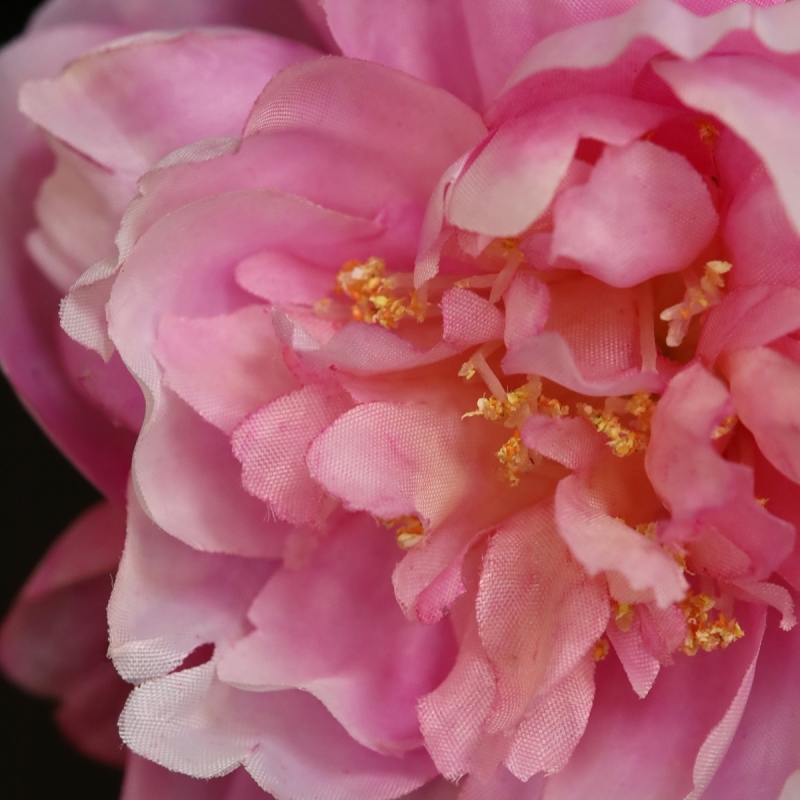 Fiore di Peonia Artificiale 38cm Rosa