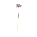 Ramo di Allium Artificiale 61cm Viola