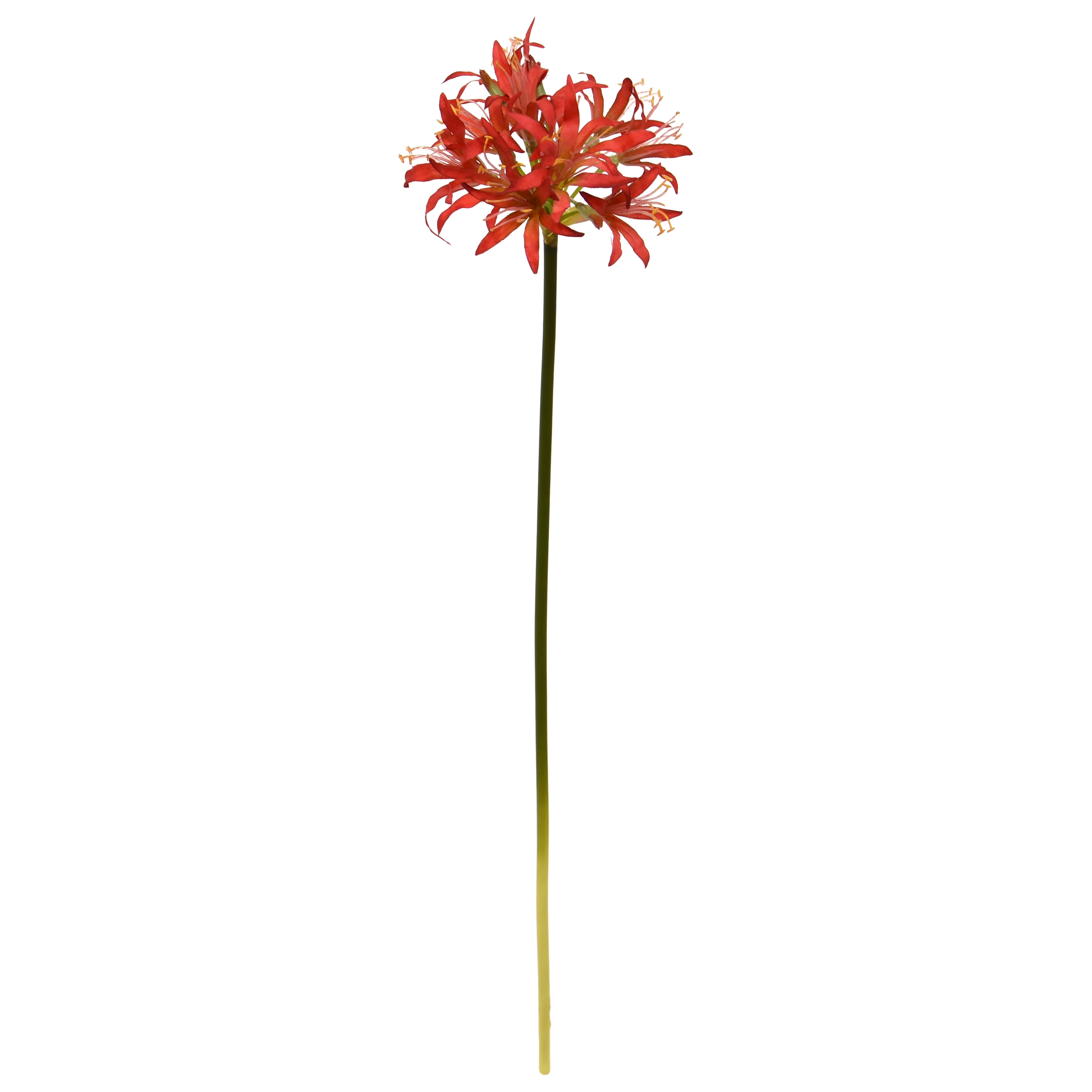 Nerine Lily Fiore artificiale 70 cm arancione