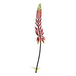 Ramo artificiale di agave 80 cm arancione