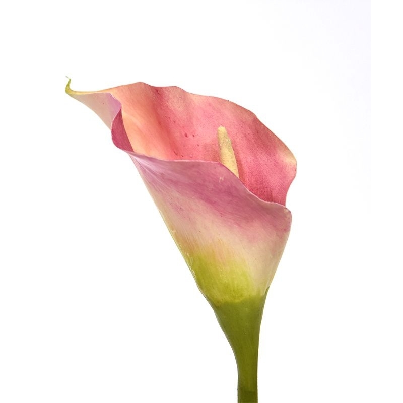 Fiore artificiale Calla deluxe 55 cm rosa