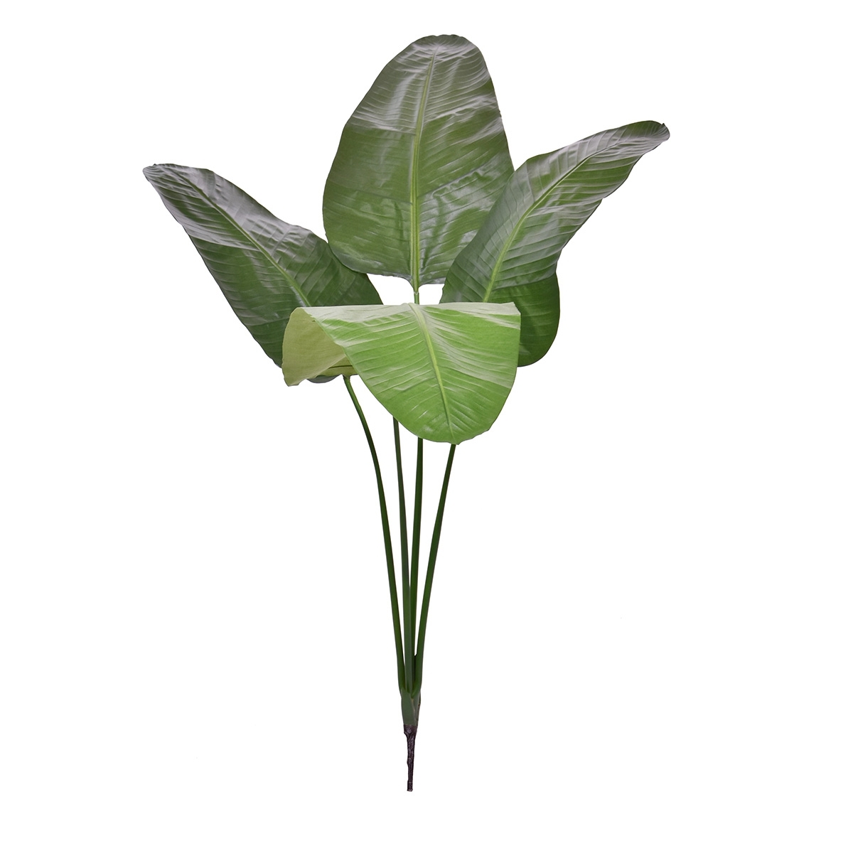 Cespuglio artificiale Strelitzia Nicolai Deluxe 160 cm