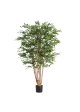 Albero artificiale Murraya Deluxe 165 cm in vaso