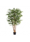 Albero artificiale Murraya Deluxe 165 cm in vaso