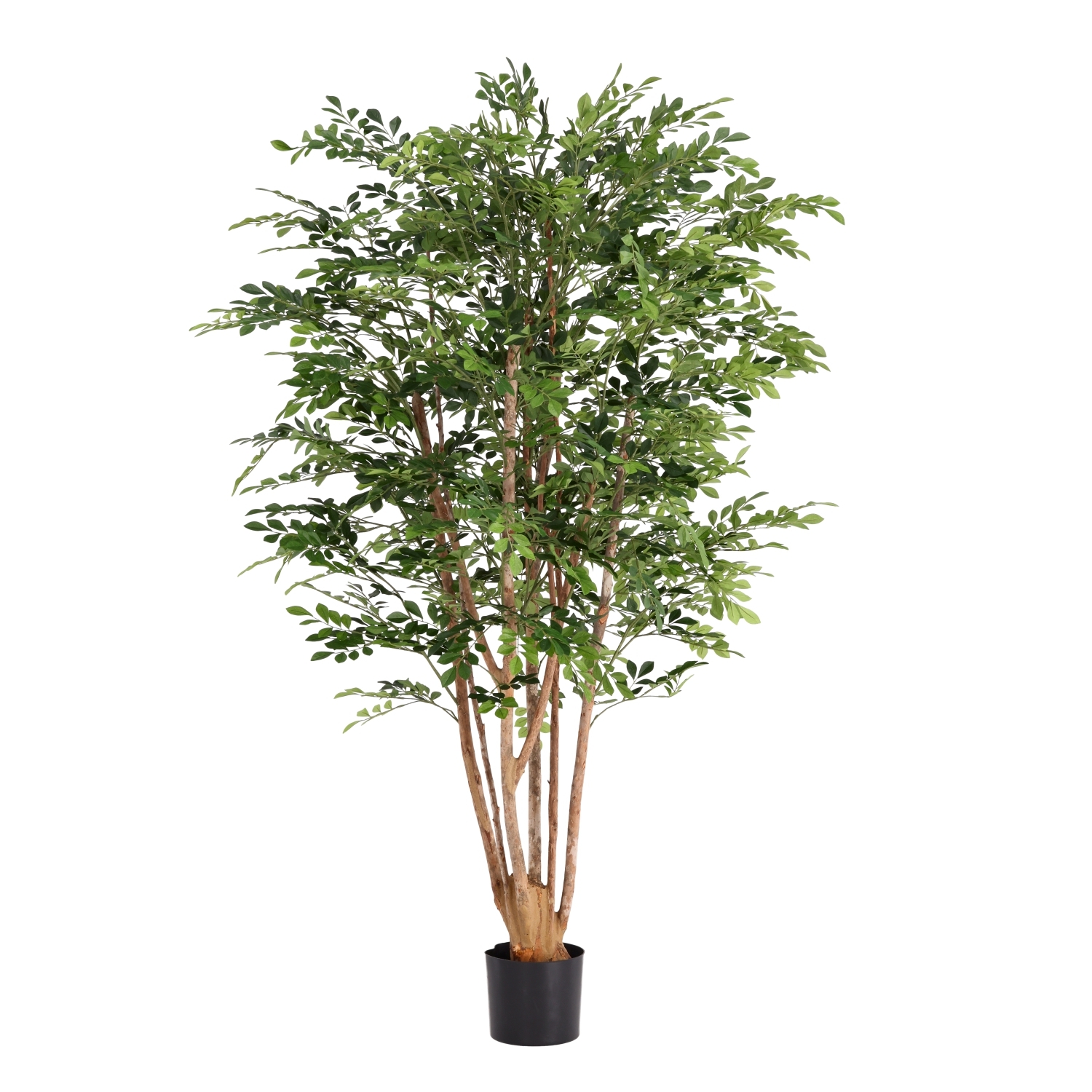 Albero artificiale Murraya Deluxe 165 cm in vaso