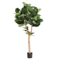 Artificiale Lyrata Deluxe Y Albero 170cm in vaso