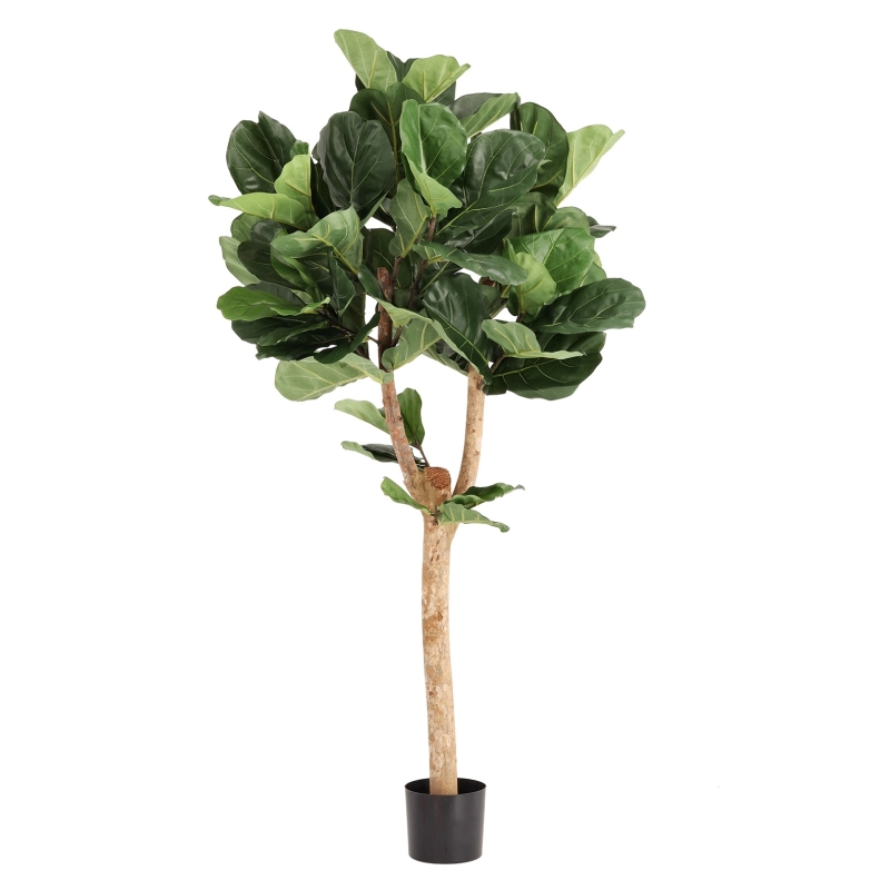Artificiale Lyrata Deluxe Y Albero 170cm in vaso