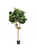 Artificiale Lyrata Deluxe Y Albero 170cm in vaso