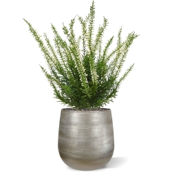 Bouquet artificiale di Erica Heather 30 cm crema