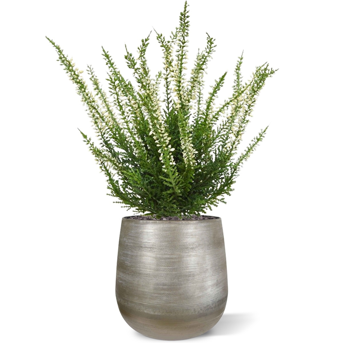 Bouquet artificiale di Erica Heather 30 cm crema