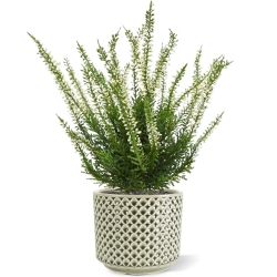 Bouquet artificiale di Erica Heather 30 cm crema
