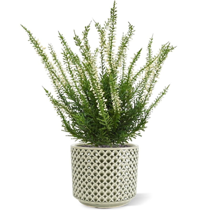Bouquet artificiale di Erica Heather 30 cm crema