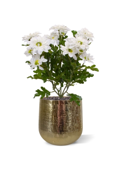 Chrysant kunstboeket 35 cm crème