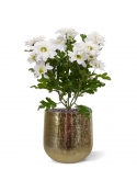 Chrysant kunstboeket 35 cm cr&egrave;me