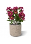 Bouquet artificiale di crisante 35 cm bordeaux