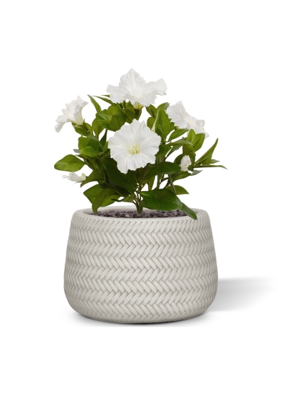 Bouquet di petunie artificiali 25 cm crema